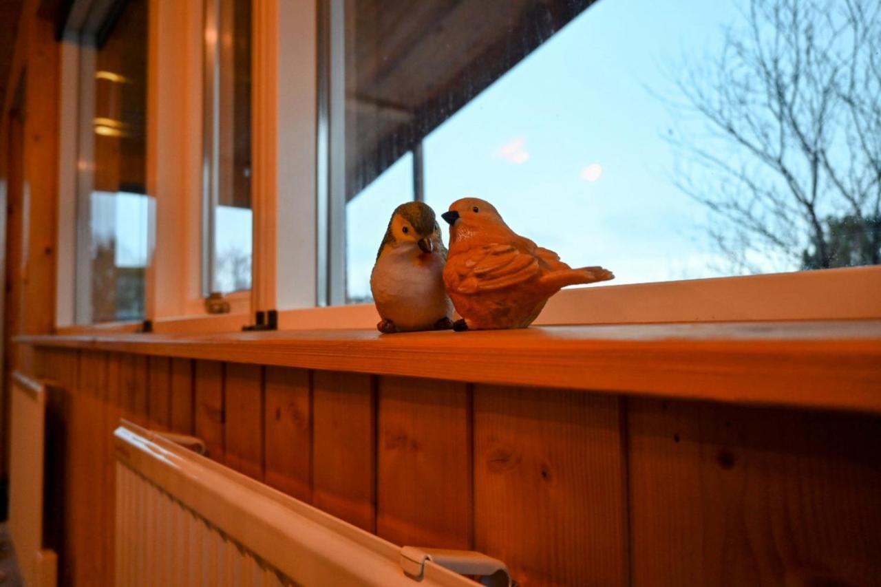 Thingvellir Cabin/Chalet Selfoss Exterior foto